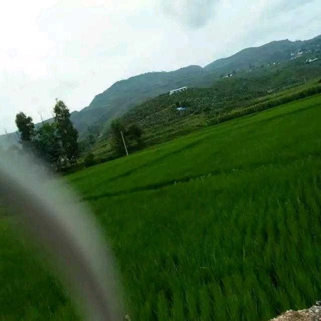 受伤的人