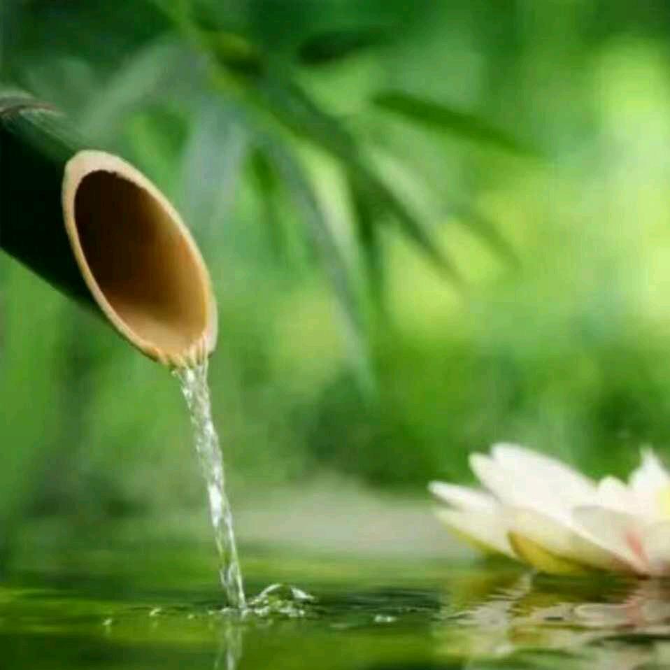 最熟悉的陌生人19.9.10