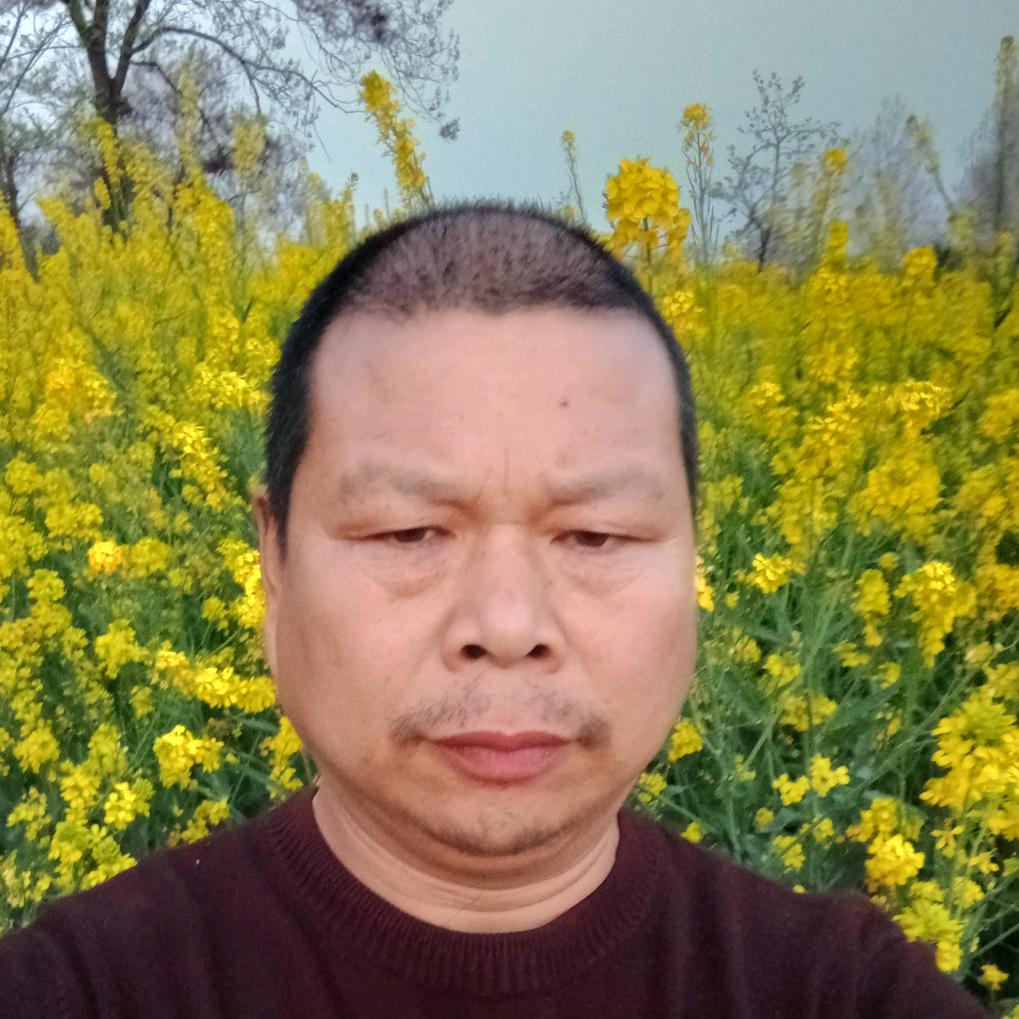漂泊