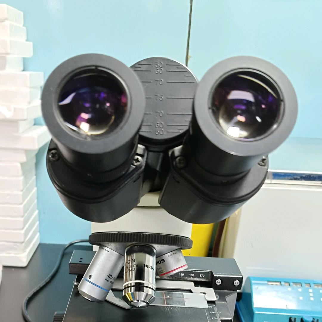 显微镜下小达人