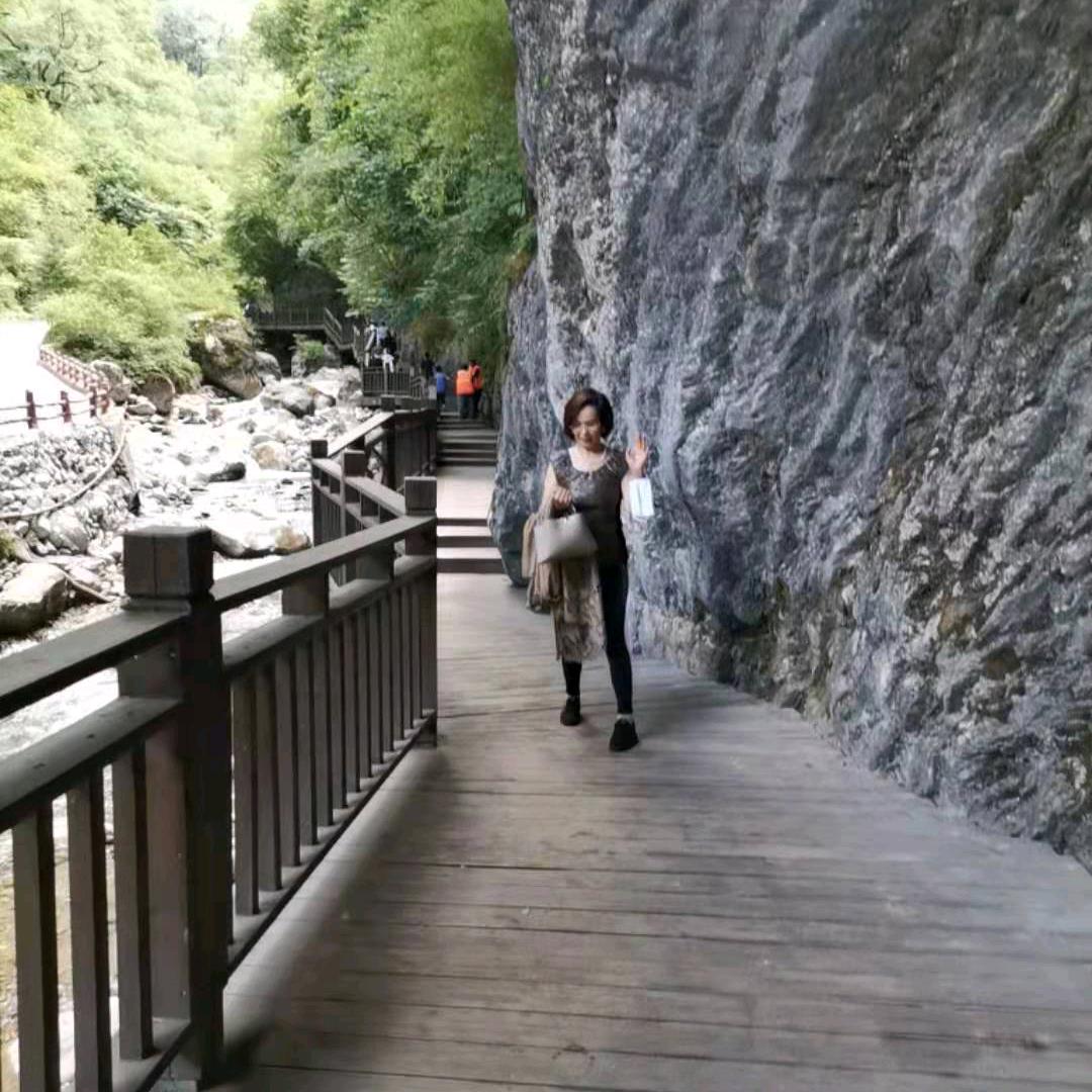 兰花
