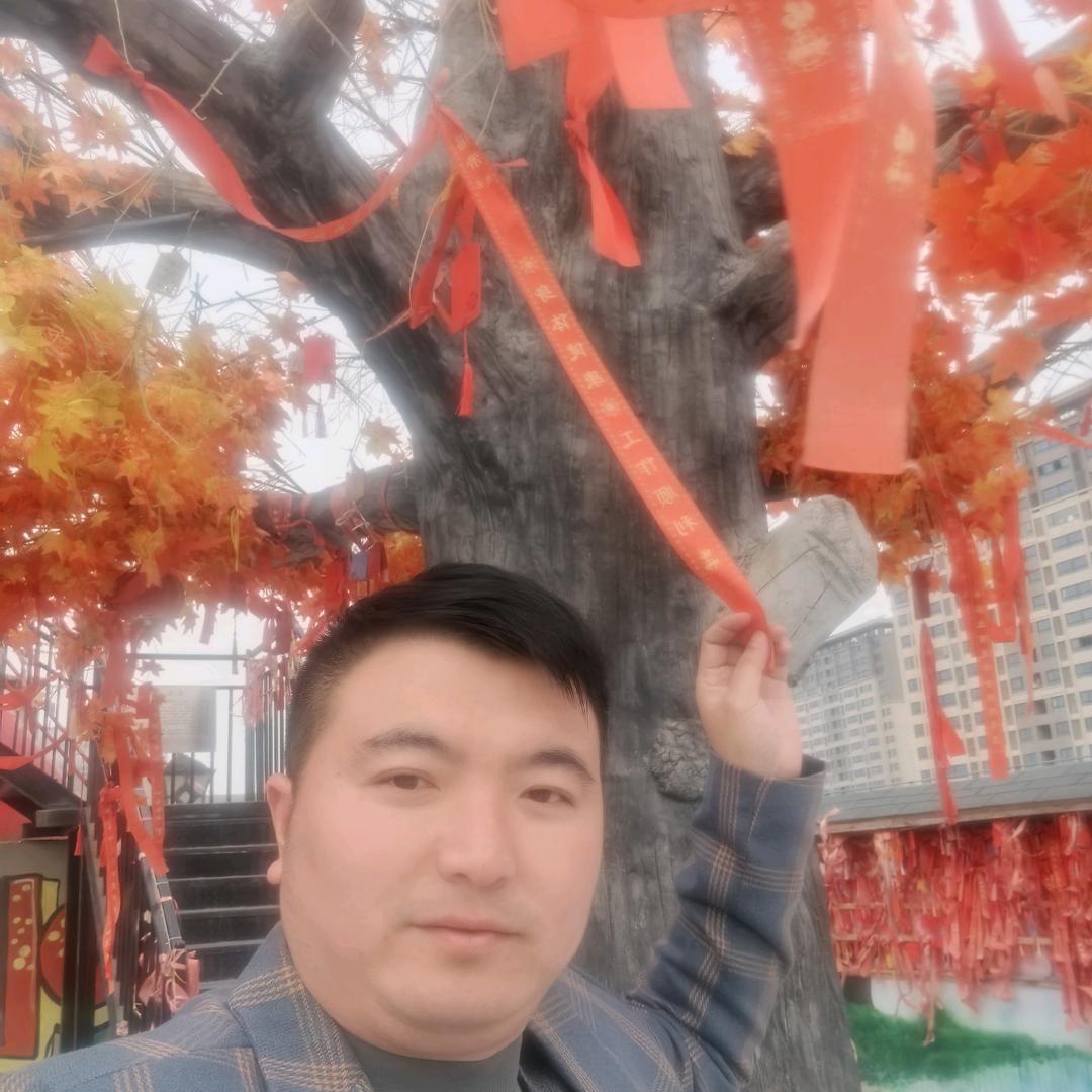 江苏龙星
