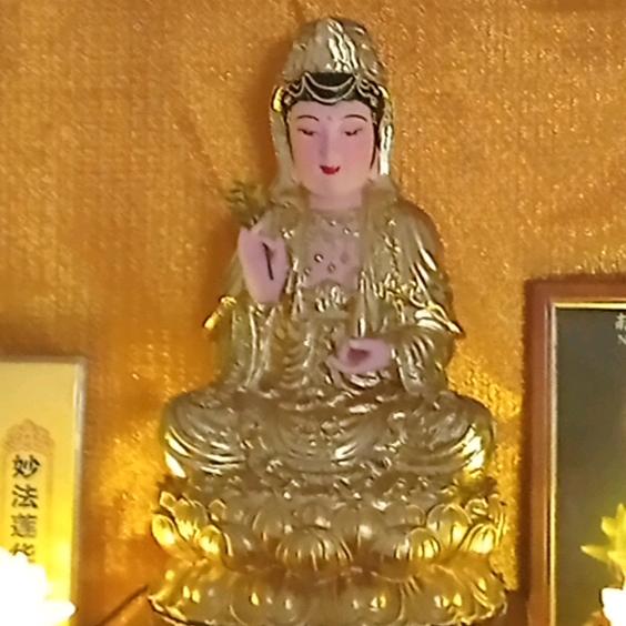 欧碧