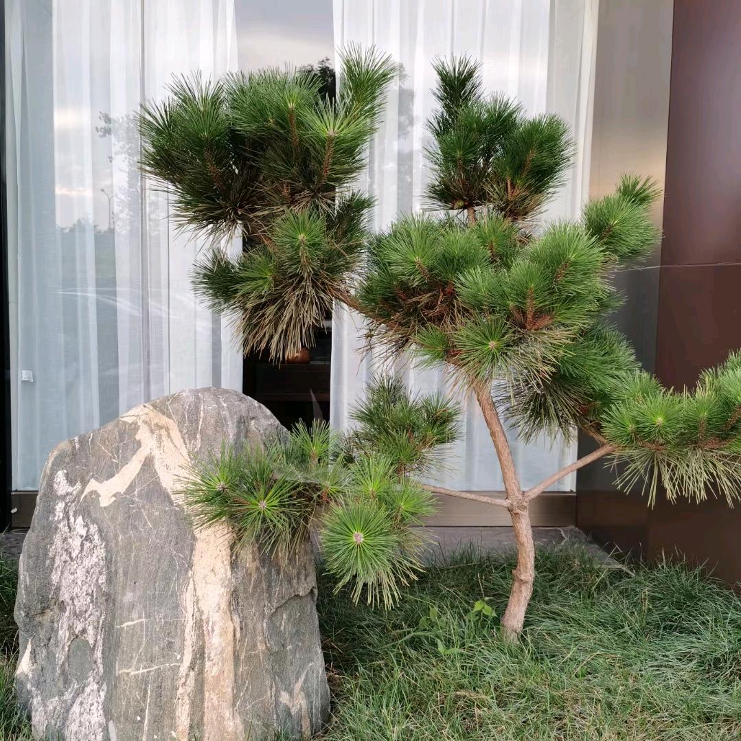 凡阁