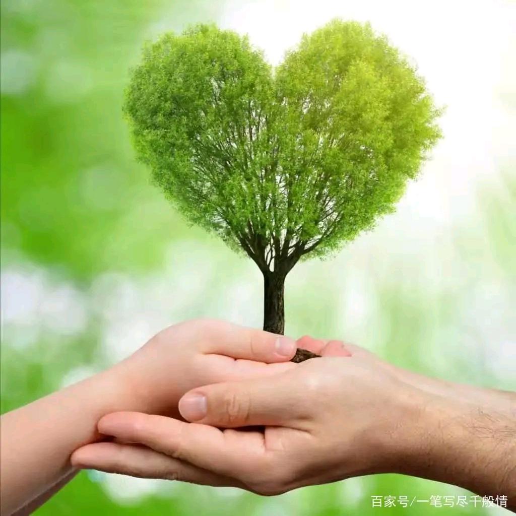 🌴🌴九九情缘🌴🌴