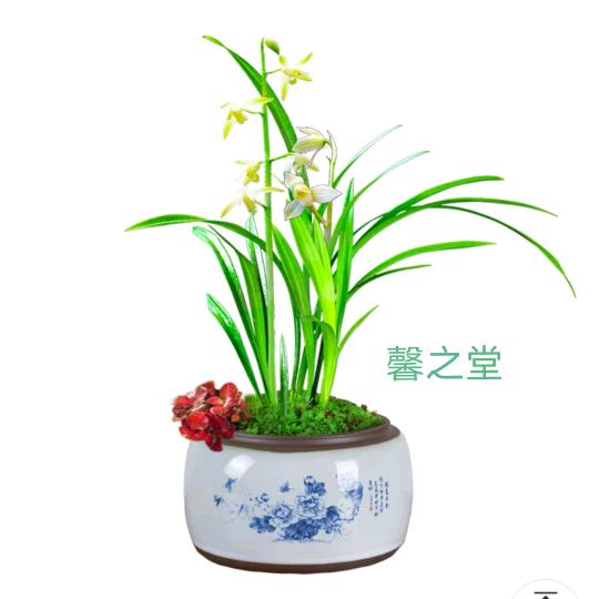 那一笔的风情