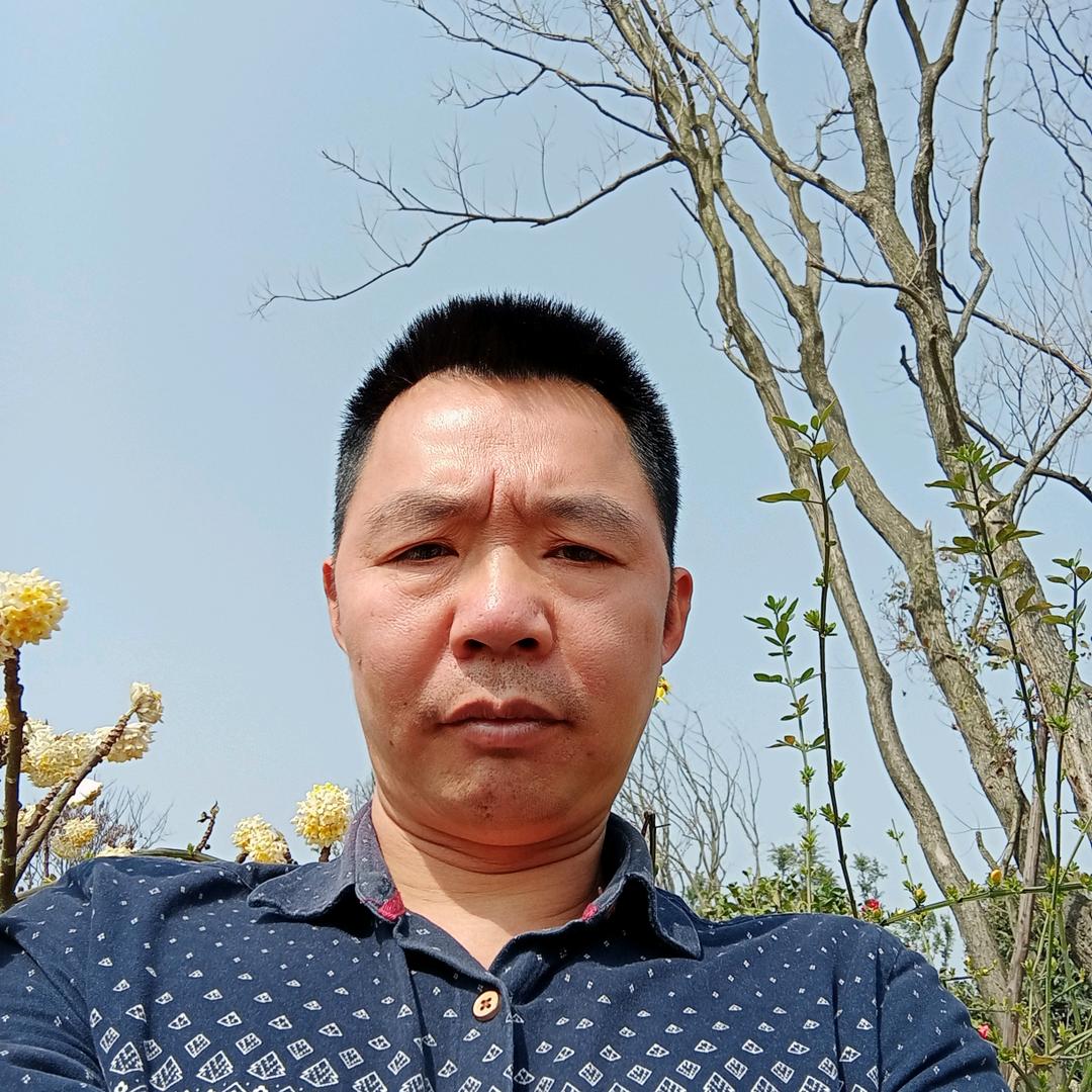 罗大侠）