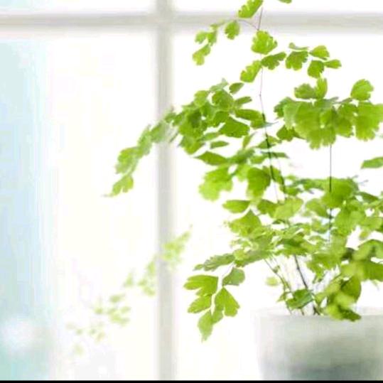 珍惜缘份