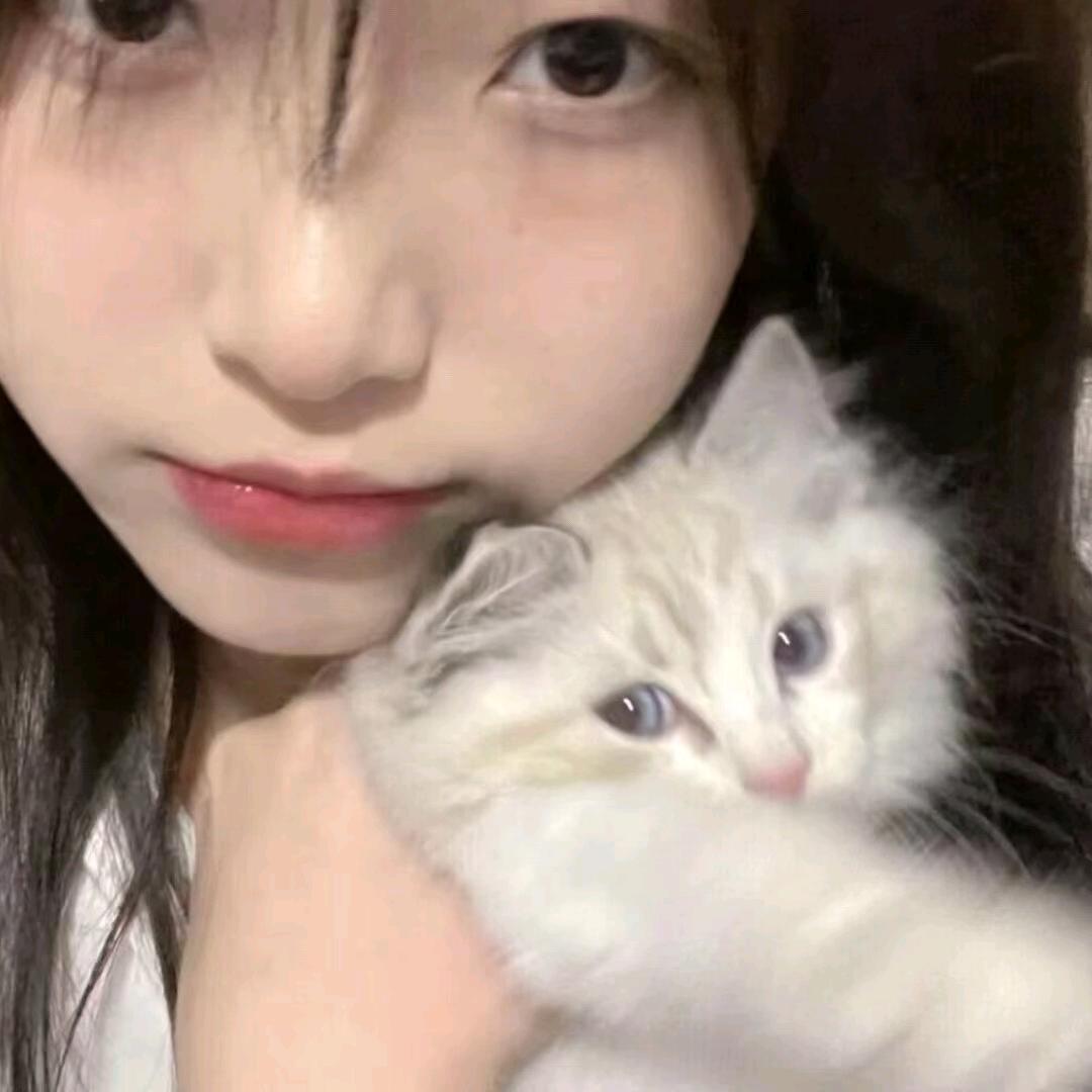 藤原拓海·