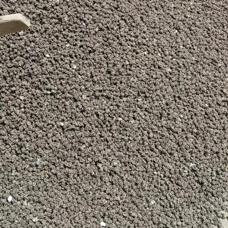 各种猫爪草