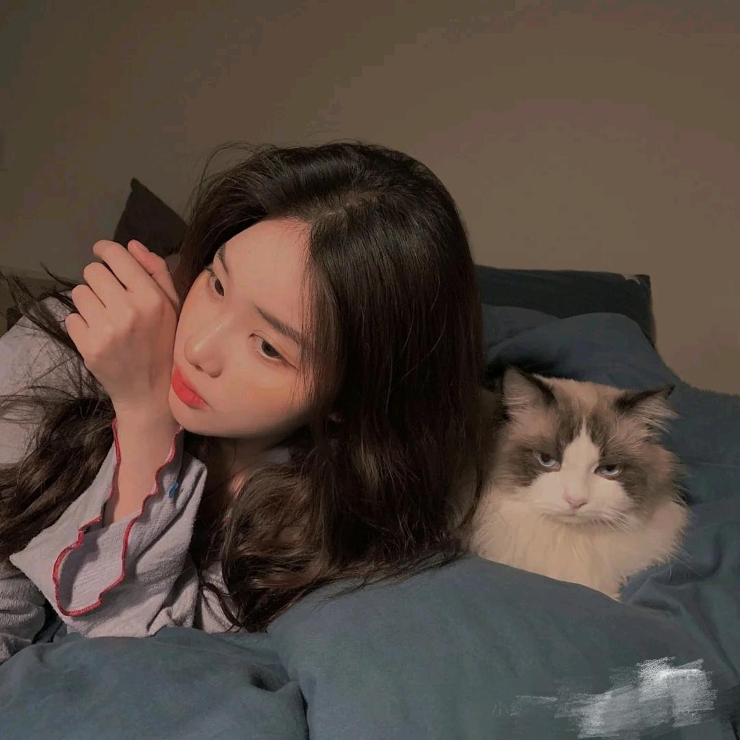 陈皮皮✨