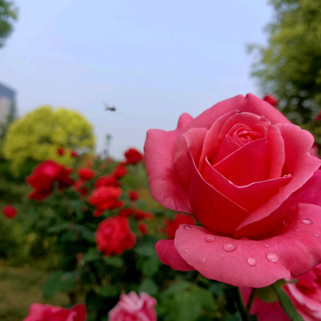 雨过是晴🌞