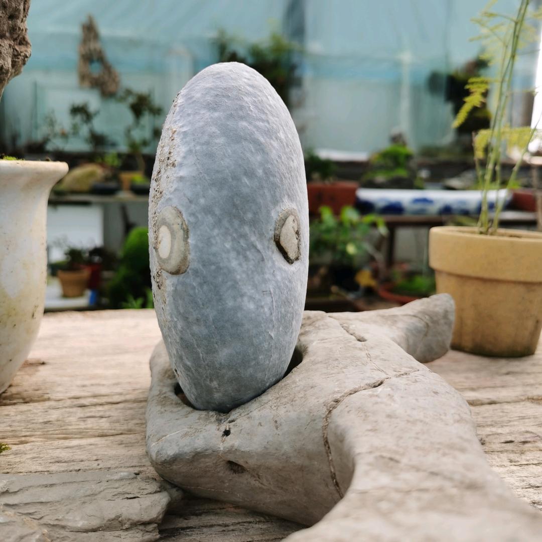 马  老（石石求石）