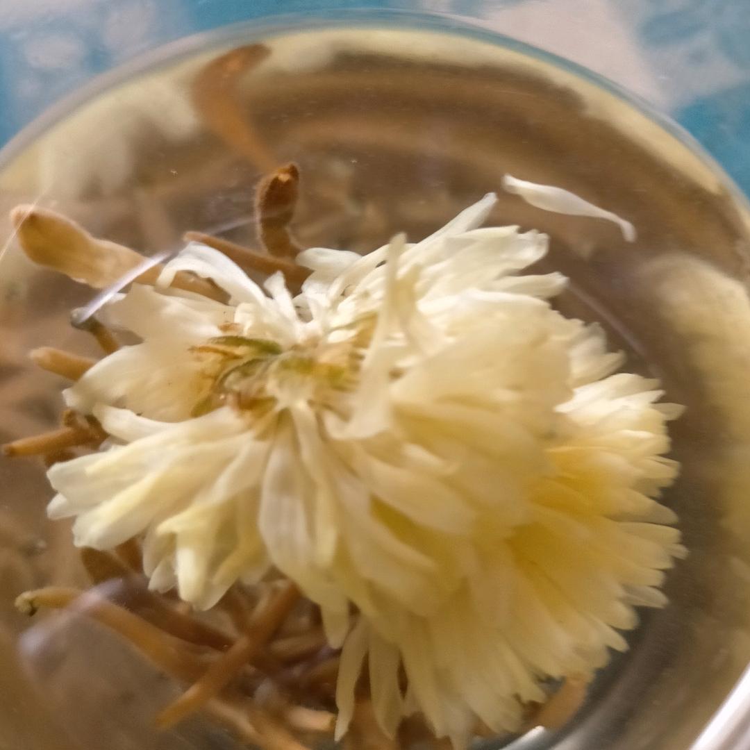 风里的梦1V\∧\。VV