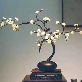 做回自己，从头再来