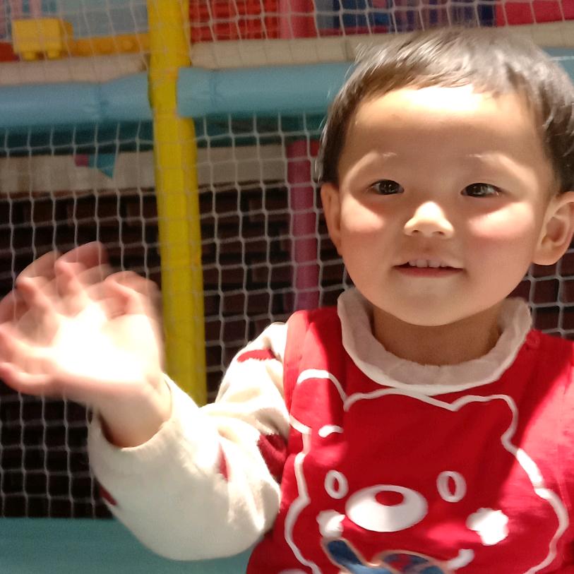 夏花“那一世的灿烂”