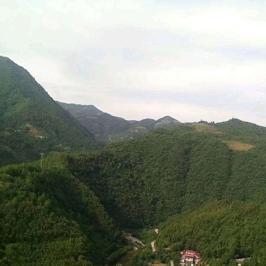 常态对人生