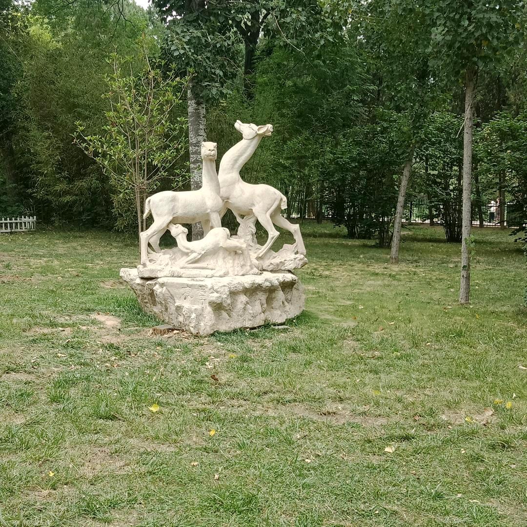 爱