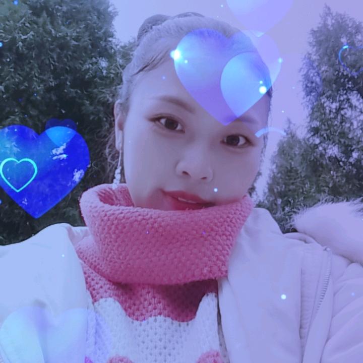 ✨✨✨⭐🌻🌹🌺燕子