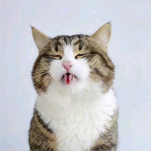 没门儿