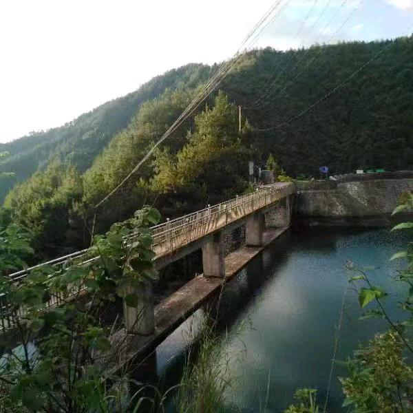 江湖人生