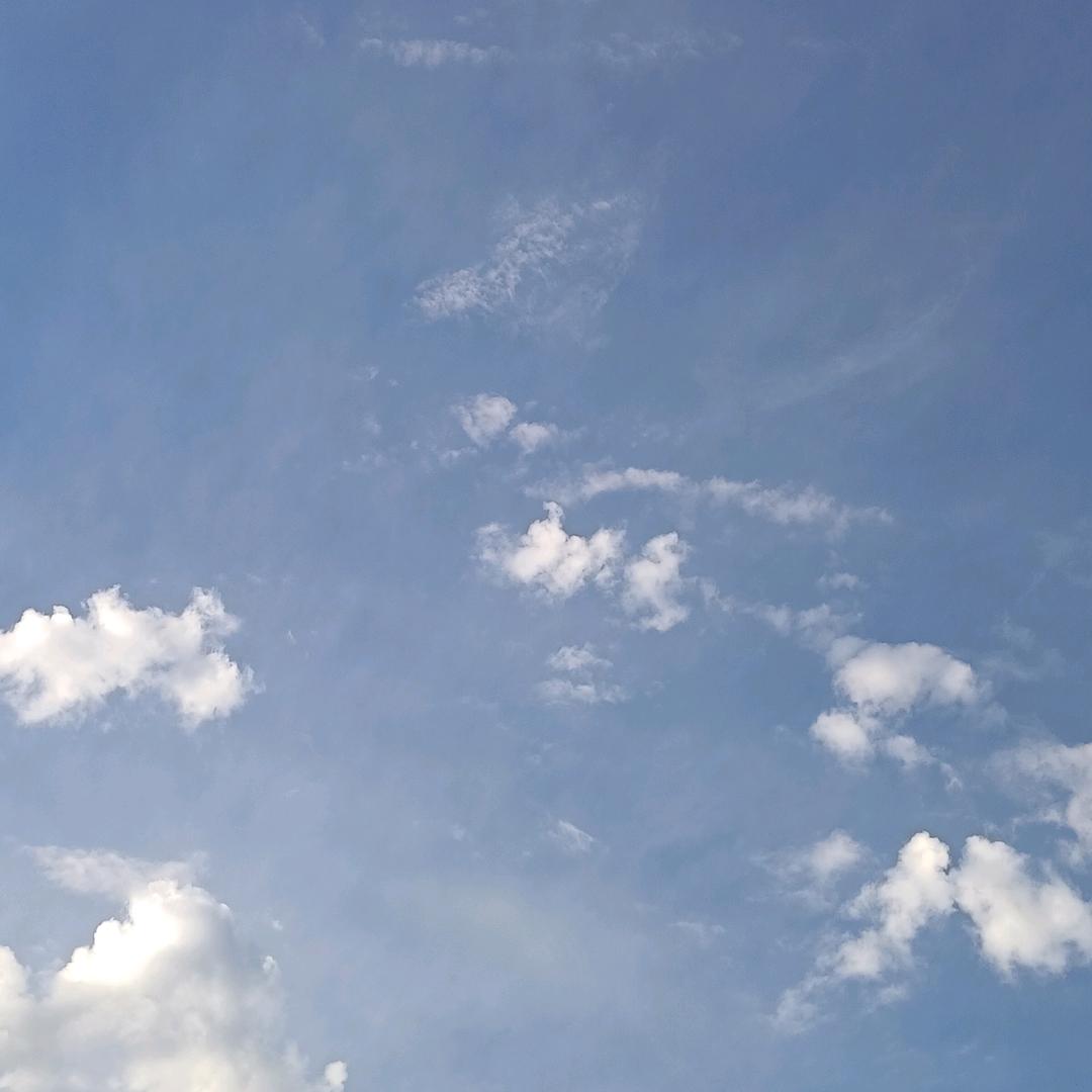 恰恰  咯