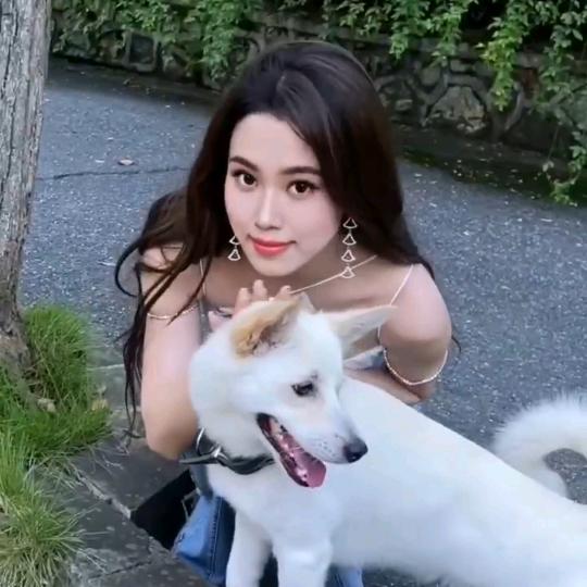 偷个月亮当路灯