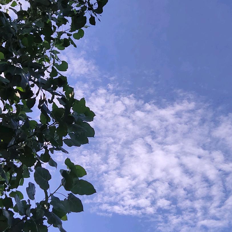 憨憨