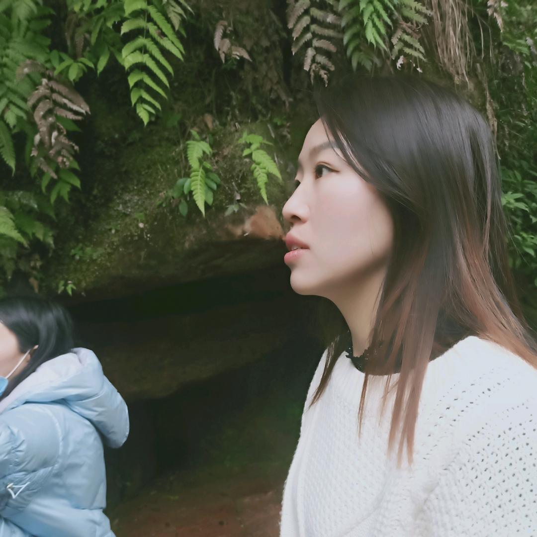杨梅