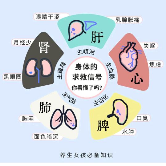 微哥献爱
