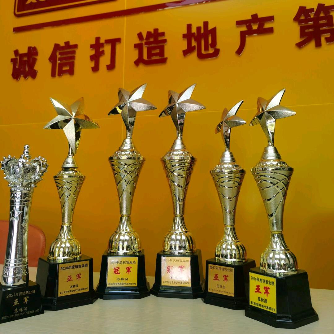 湛江好世界地产苏苏卖房