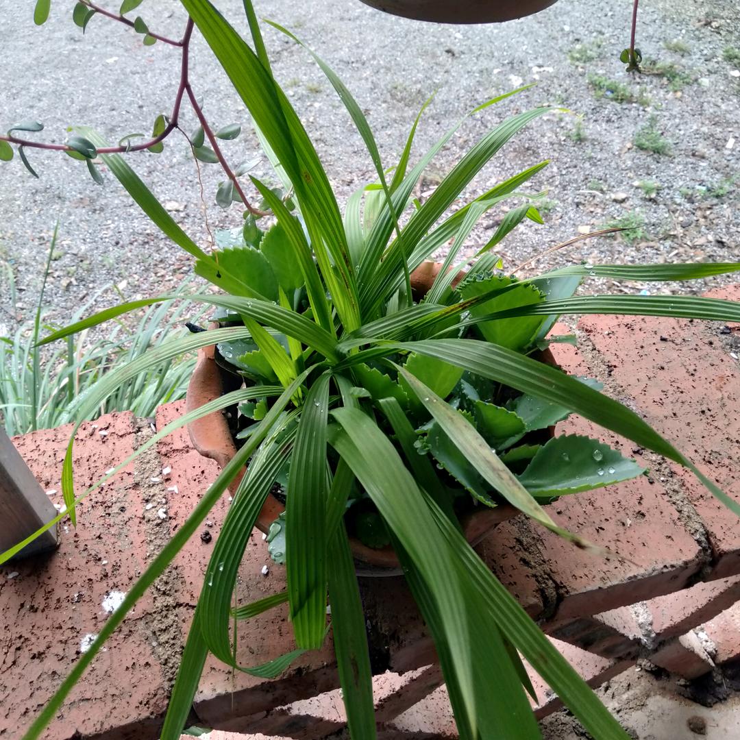 用户4599991916864八月的雨