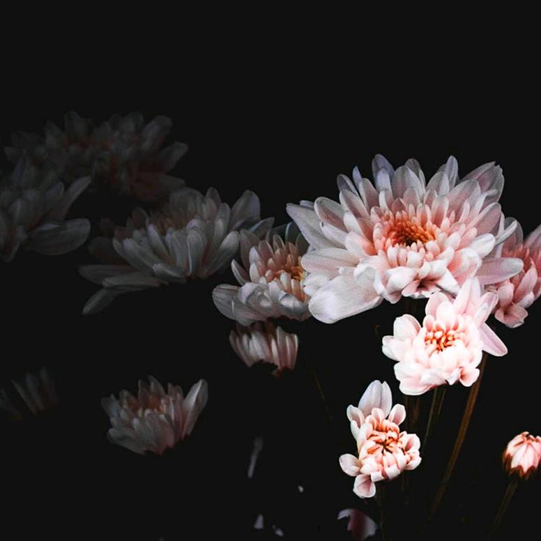 华通驾考刘教练