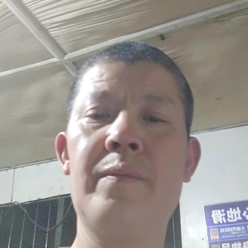 花儿为什么这样红