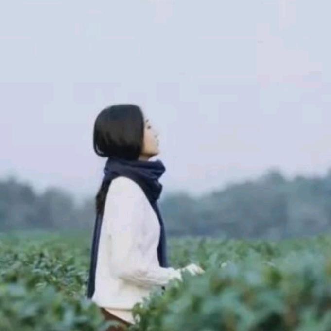 冷月酒掌柜