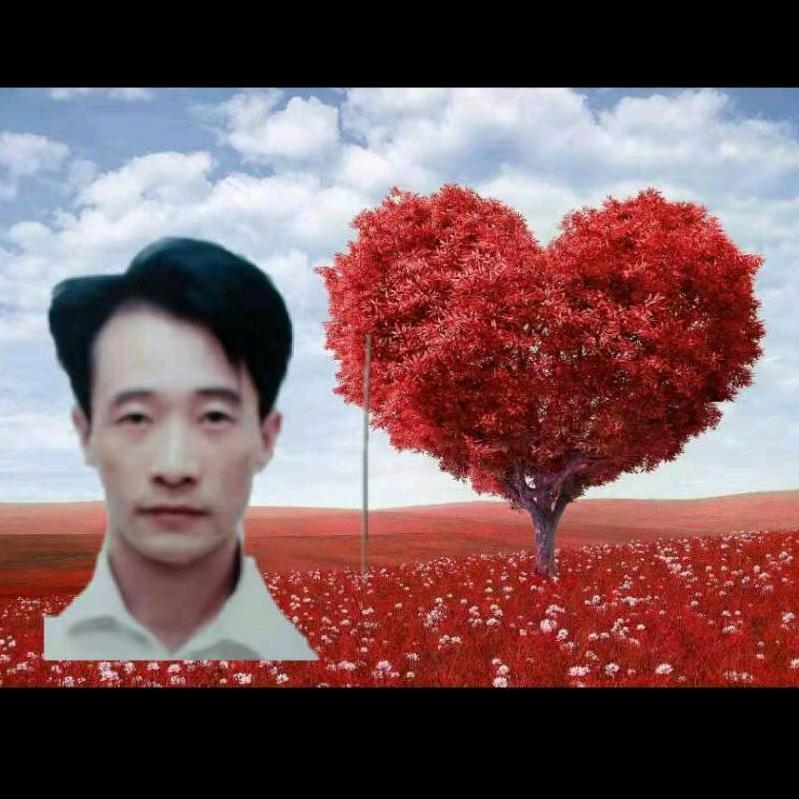 以前的我现日落西山