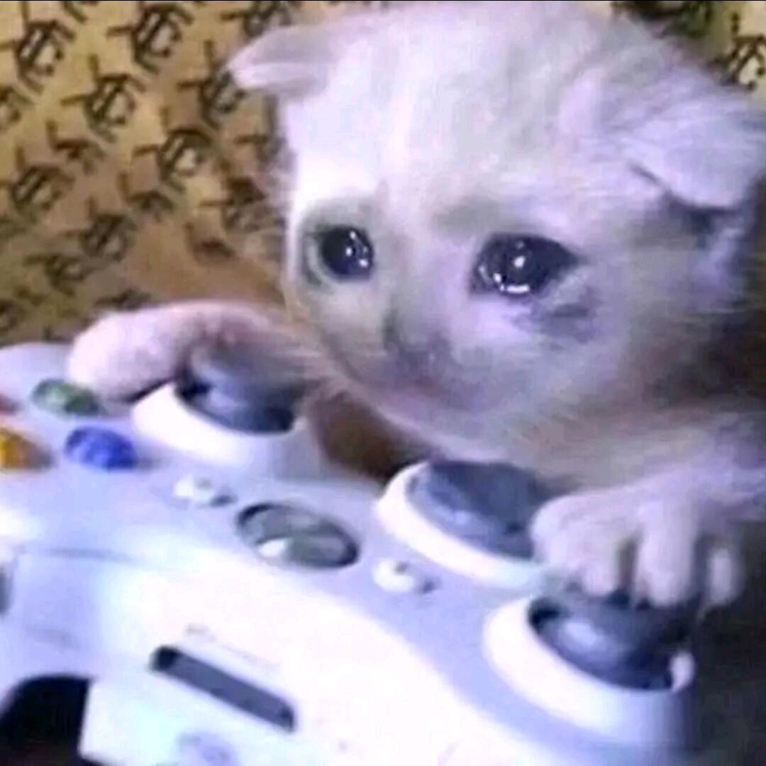 每天都想打电动