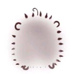 小橙子 🩹️