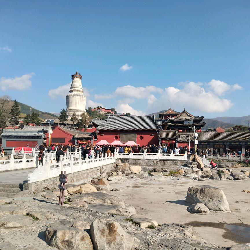 导游领队一枚