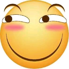 韩莲