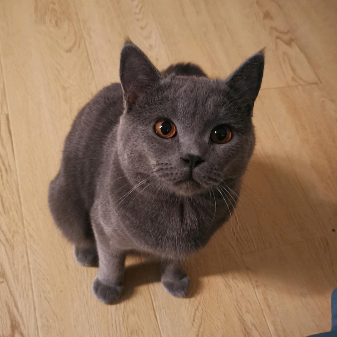 王王王王HUi