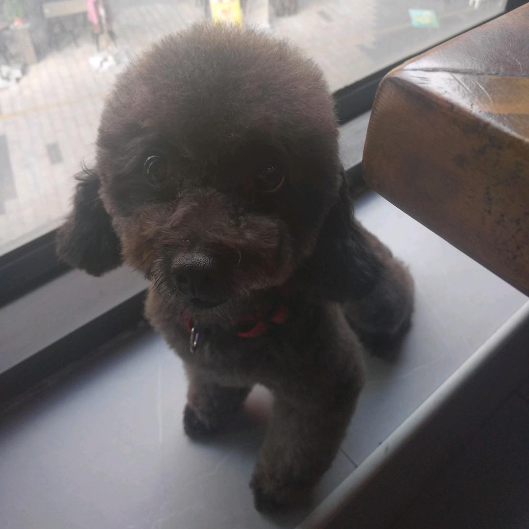 美好未来爱你😍