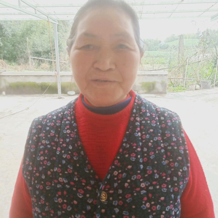 黄婆婆