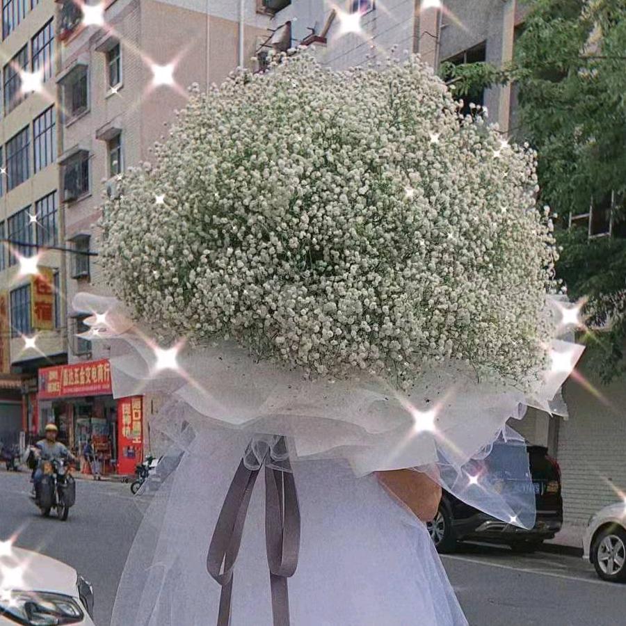 惠州市惠阳区新圩简壹花卉店