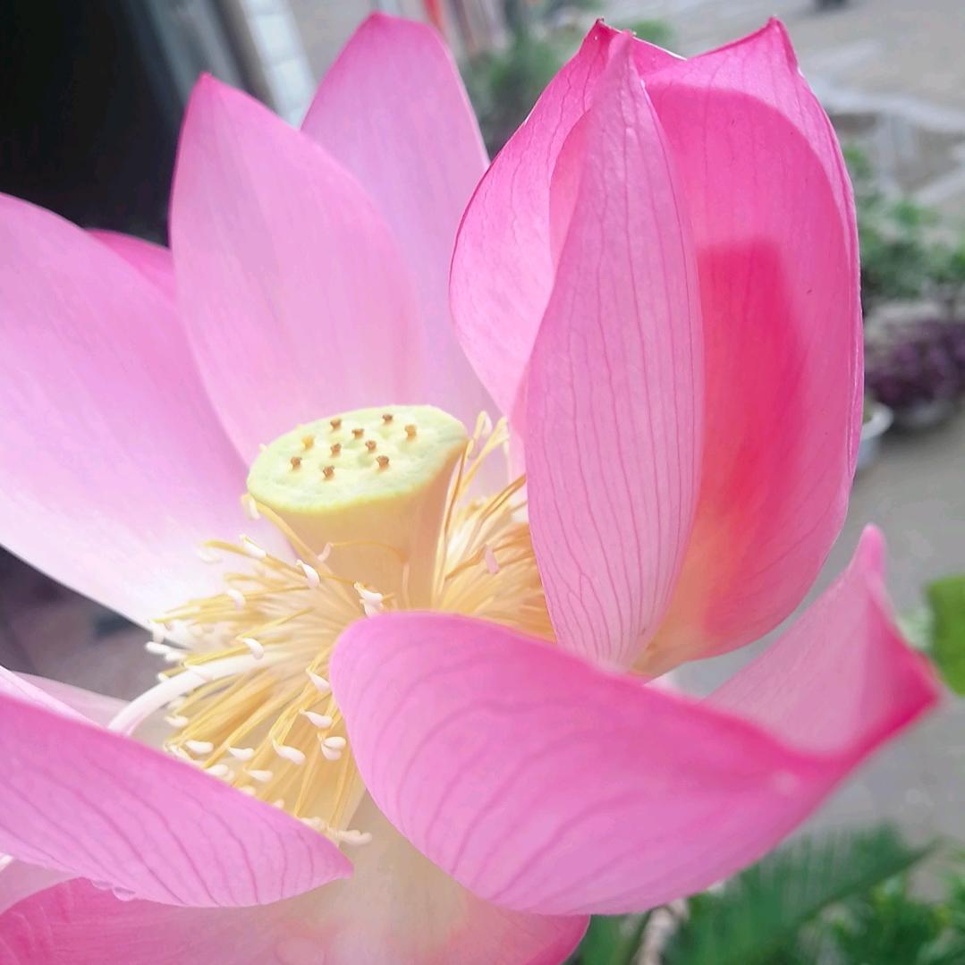 小燕子💞(拒连赞)