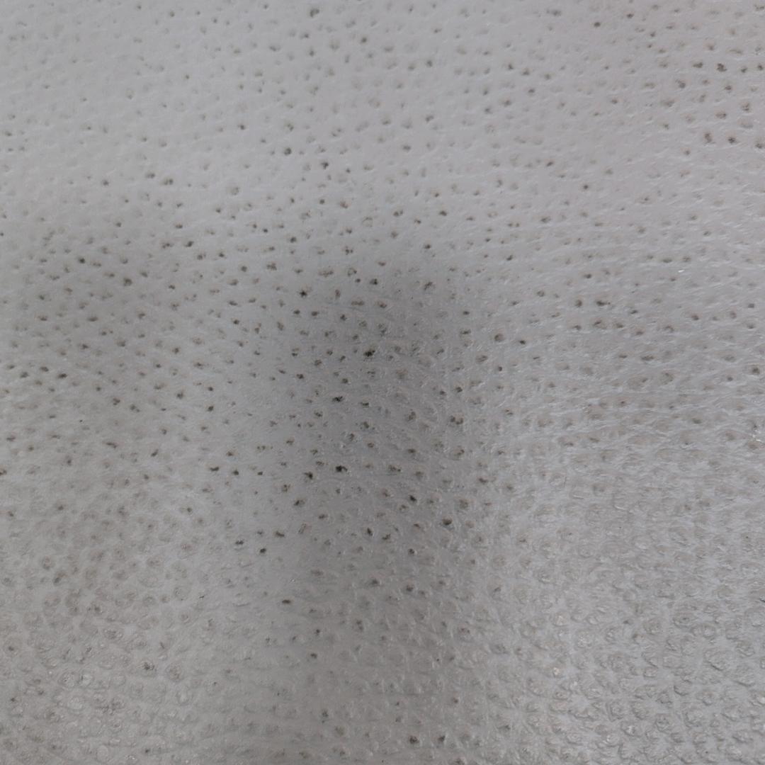 张先生和张小妞