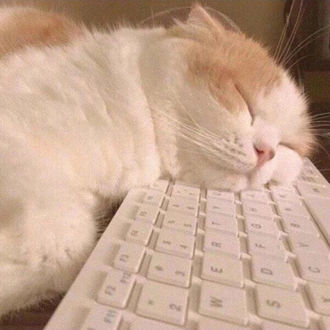 今天吃什么好吃的