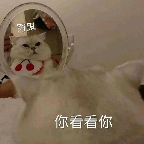 不期
