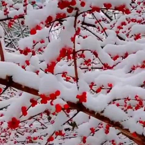 岁月静好💖💖