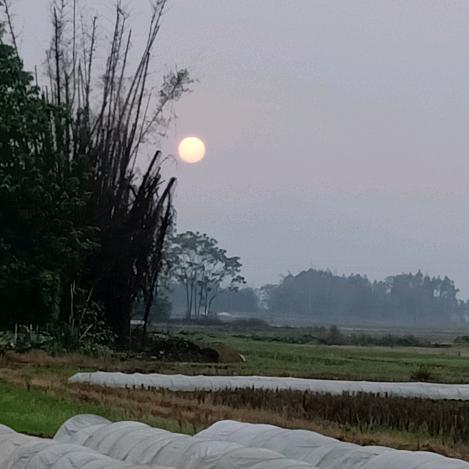 天使